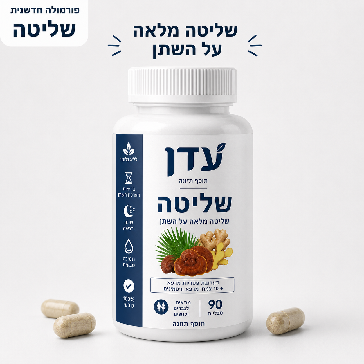 שליטה